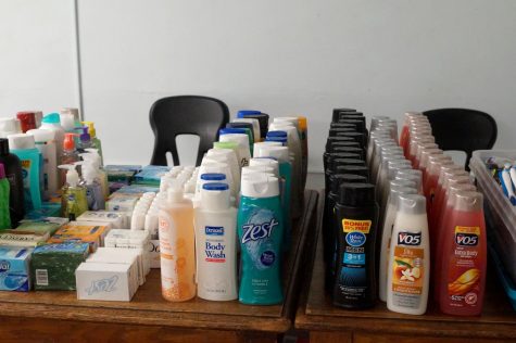 Rows of bar soap, hand soap, shampoo and conditioner sit on a table.