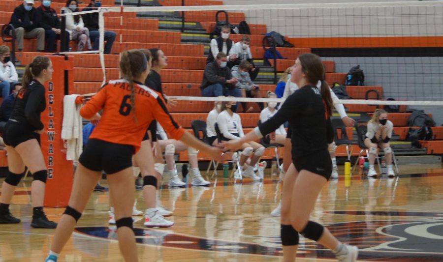 Volleyball photo of high five
