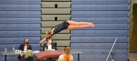 Girl vaulting