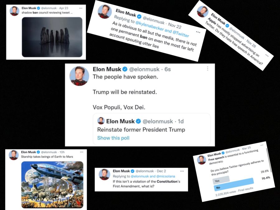 Several+screenshots+of+Tweets+made+by+Elon+Musk%2C+including+a+poll+to+reinstate+former+President+Trump+on+the+app+and+statements+questioning+Twitters+adherence+to+the+First+Amendment.
