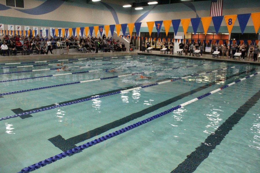 The+boys+swim+team+competes+in+a+meet+with+Big+Walnut%2C+Lakewood+and+Hilliard+Darby+on+Dec+18.