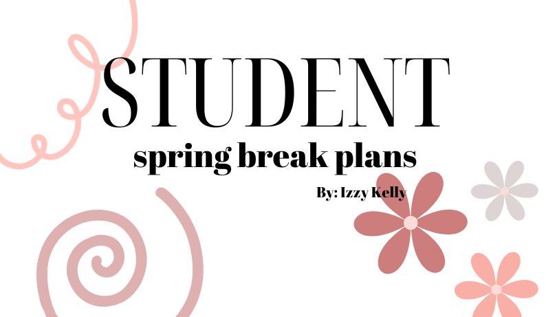 Students plans for Spring Break