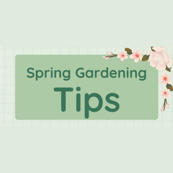 Tips for Spring Gardening