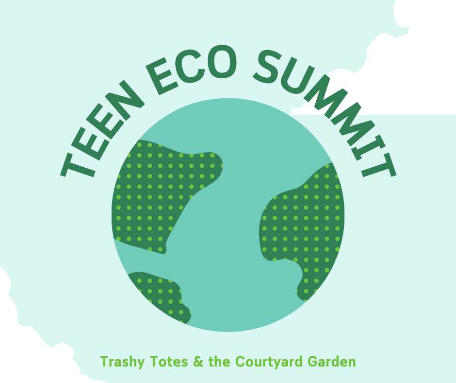 Teen Eco Summit teams create environmentally sustainable changes in the community. 