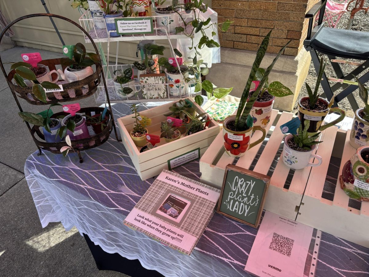 Karen's mother plants are one of the many businesses participating in the Farmers Market. Sold here are handmade pots for plants.