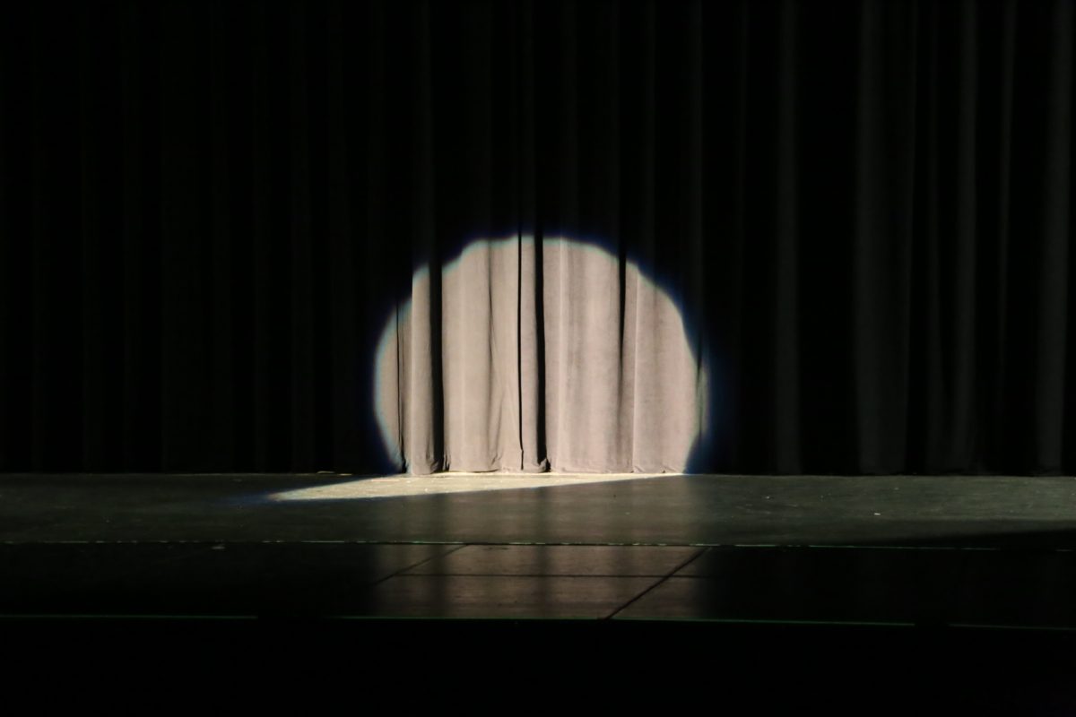 With Friday's announcement that the fall talent show had been postponed, students at Hayes will have to wait a little longer to see their friends perform.