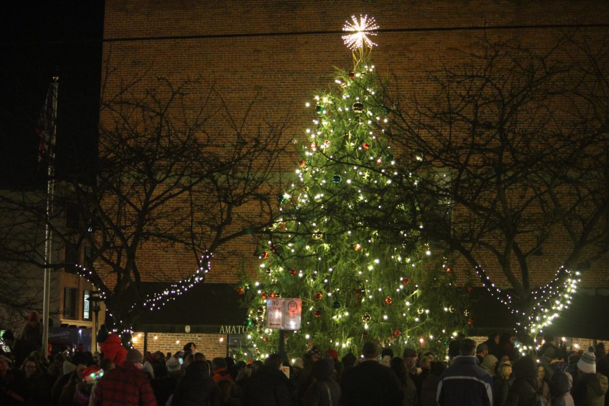 The tree in front of Amatos' Woodfired Pizza is lit as part of an annual tradition in downtown Delaware. 