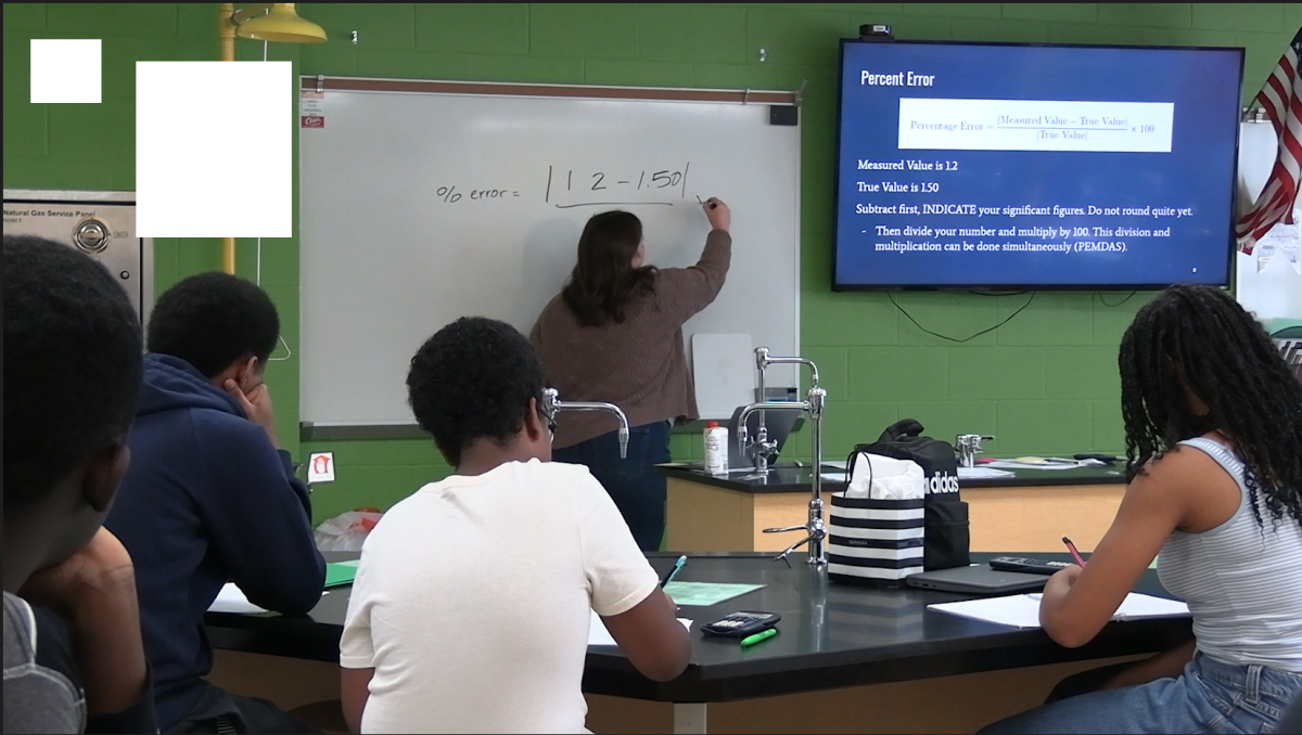 Science teacher McKenna Shireman joined the staff at Hayes this year.
