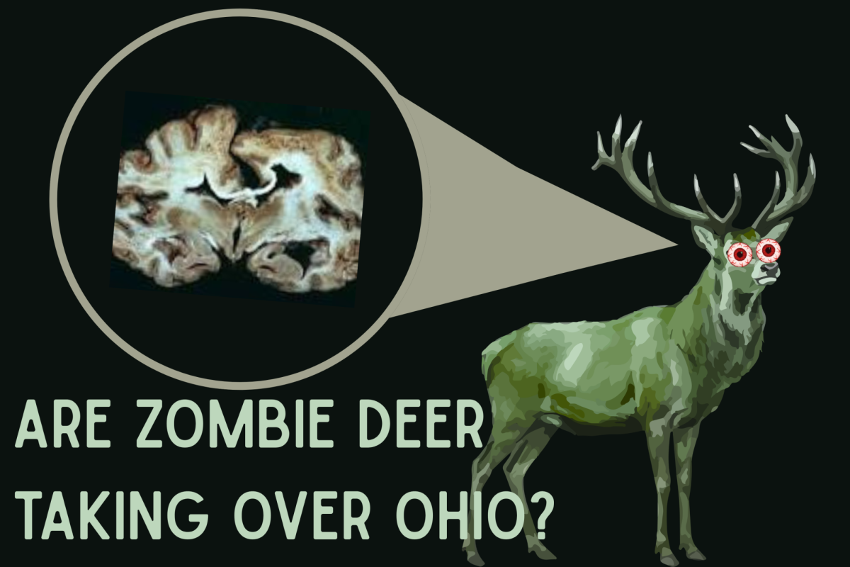 In chronic wasting disease, brain prions, or misfolded proteins, can spread and devastate the host organism.