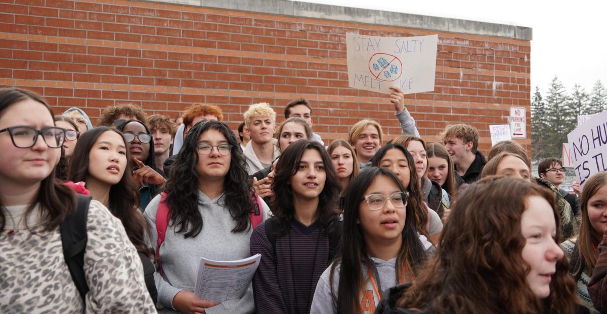 Students participate in ICE walkout.