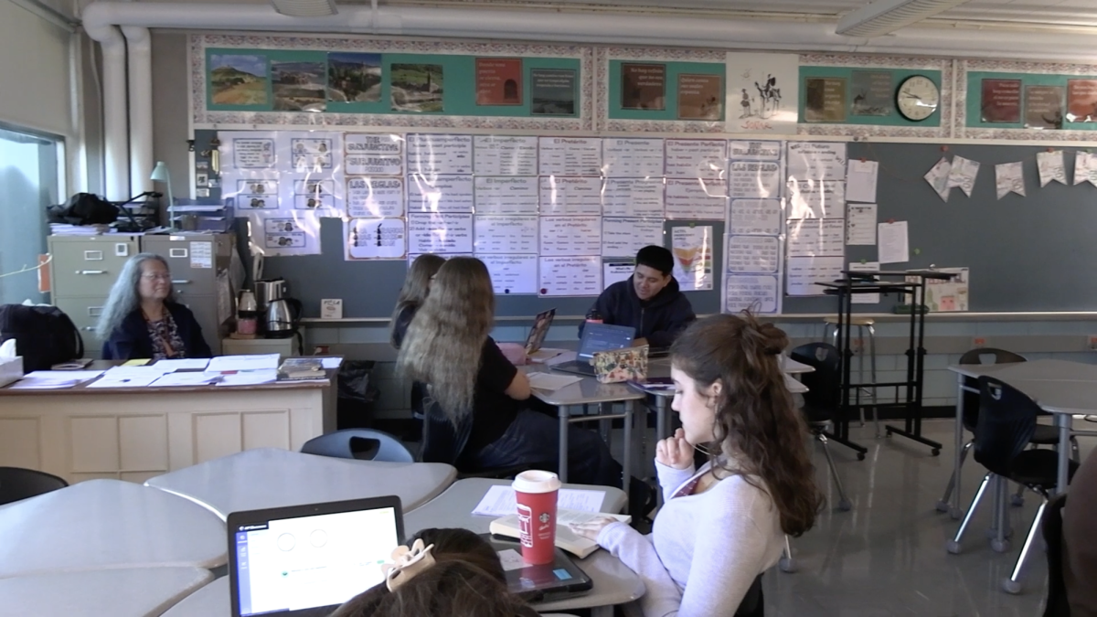 Showcasing substitutes and what their jobs entail