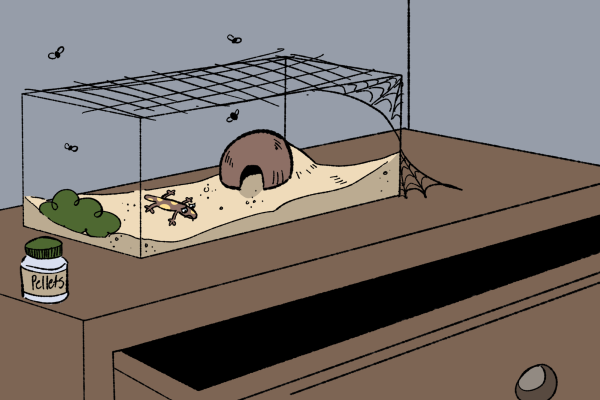 Smaller reptiles are often mistreated because they aren't considered very exotic pets.